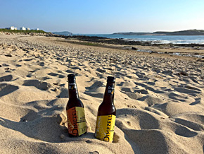 Dimezell bière ambrée et blonde Brasserie artisanale à Quessoy 22