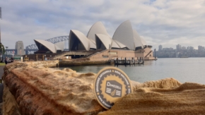Dimezell devant le Sydney Opera House !